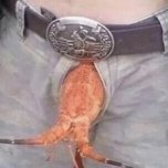 CPTLOBSTERCOCK