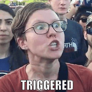 triggered.gif.21f05717b3b2a04a7f5dae7a65a967e7.gif